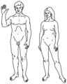 Thumbnail for version as of 12:59, 8 November 2015